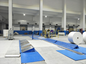 Sheet Paper Packaging System 