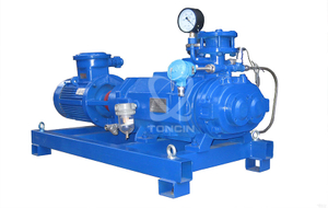 Liquid Ring Vacuum Pump