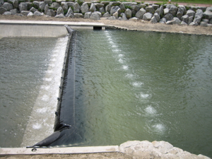 Inflatable Waterproof Dam Flood Dam Protection Water Stop Rubber Dam 